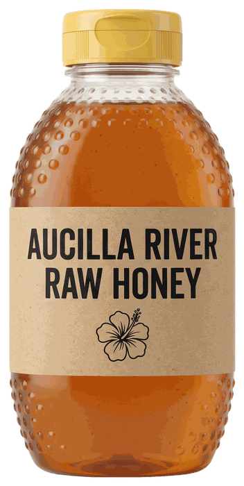 Plastic squeeze bottle of Aucilla River Raw Honey, 1 pound