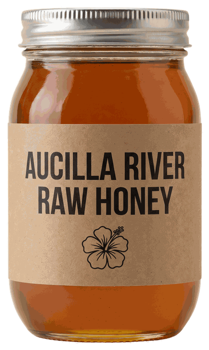 Glass pint jar of Aucilla River Raw Honey, 1 pound 6 ounces